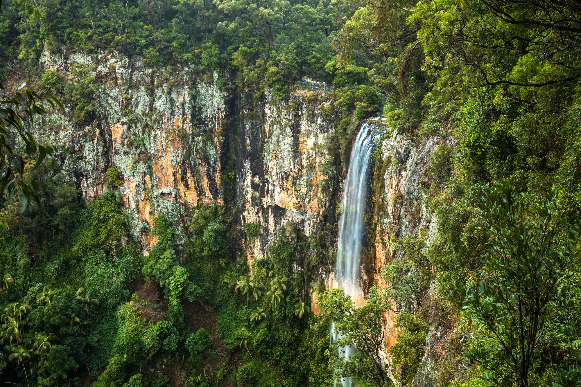 Purlingbrook falls in the Gold Coast Hinterland, Australia